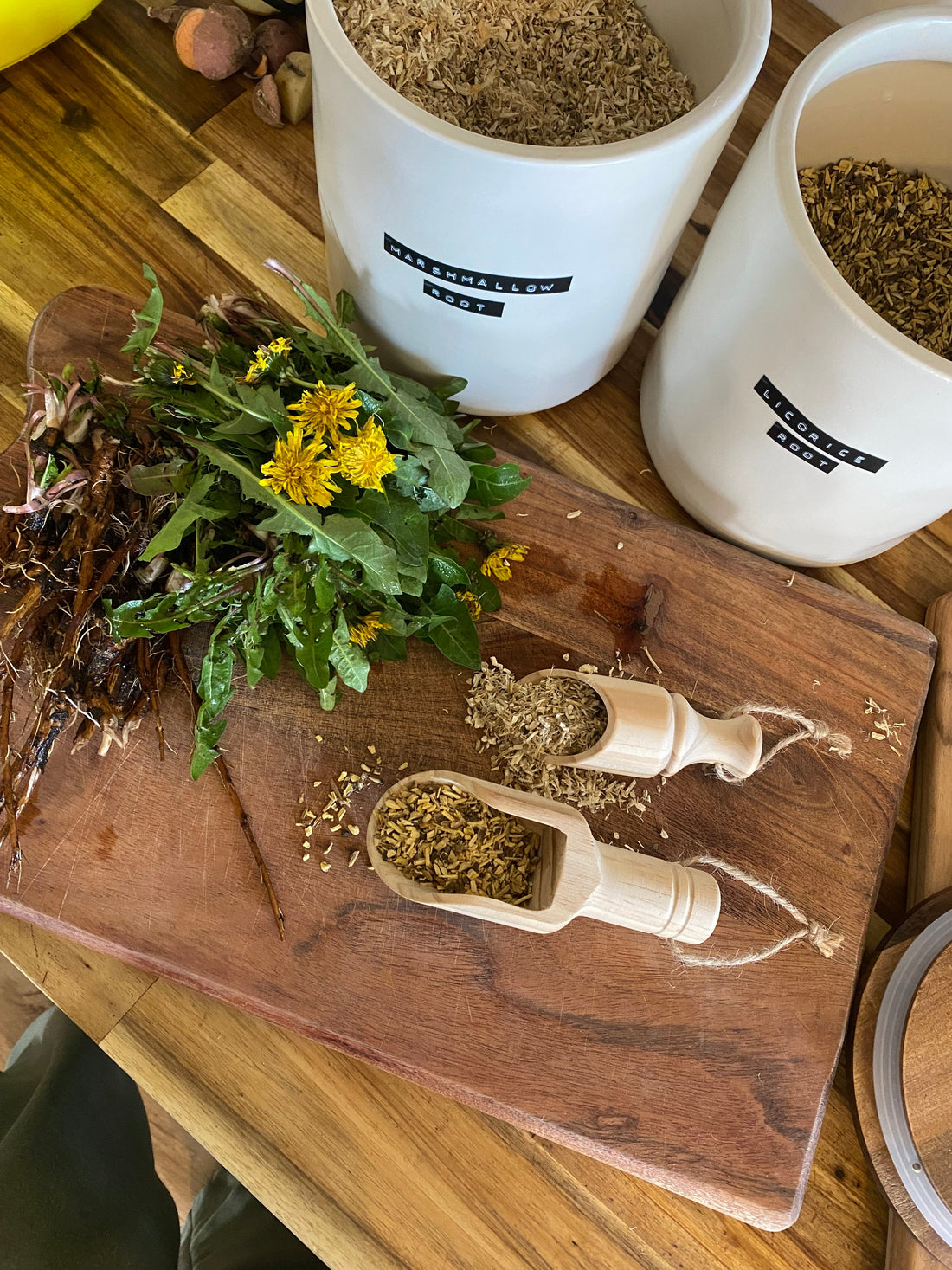 The 3 Herbs That Healed My Gut