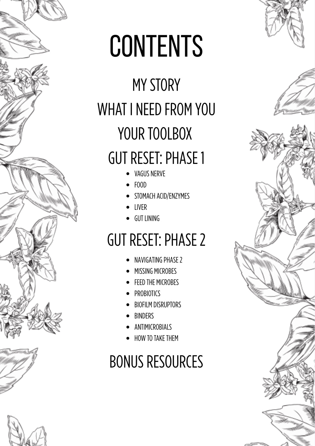 .Gut Reset Manual