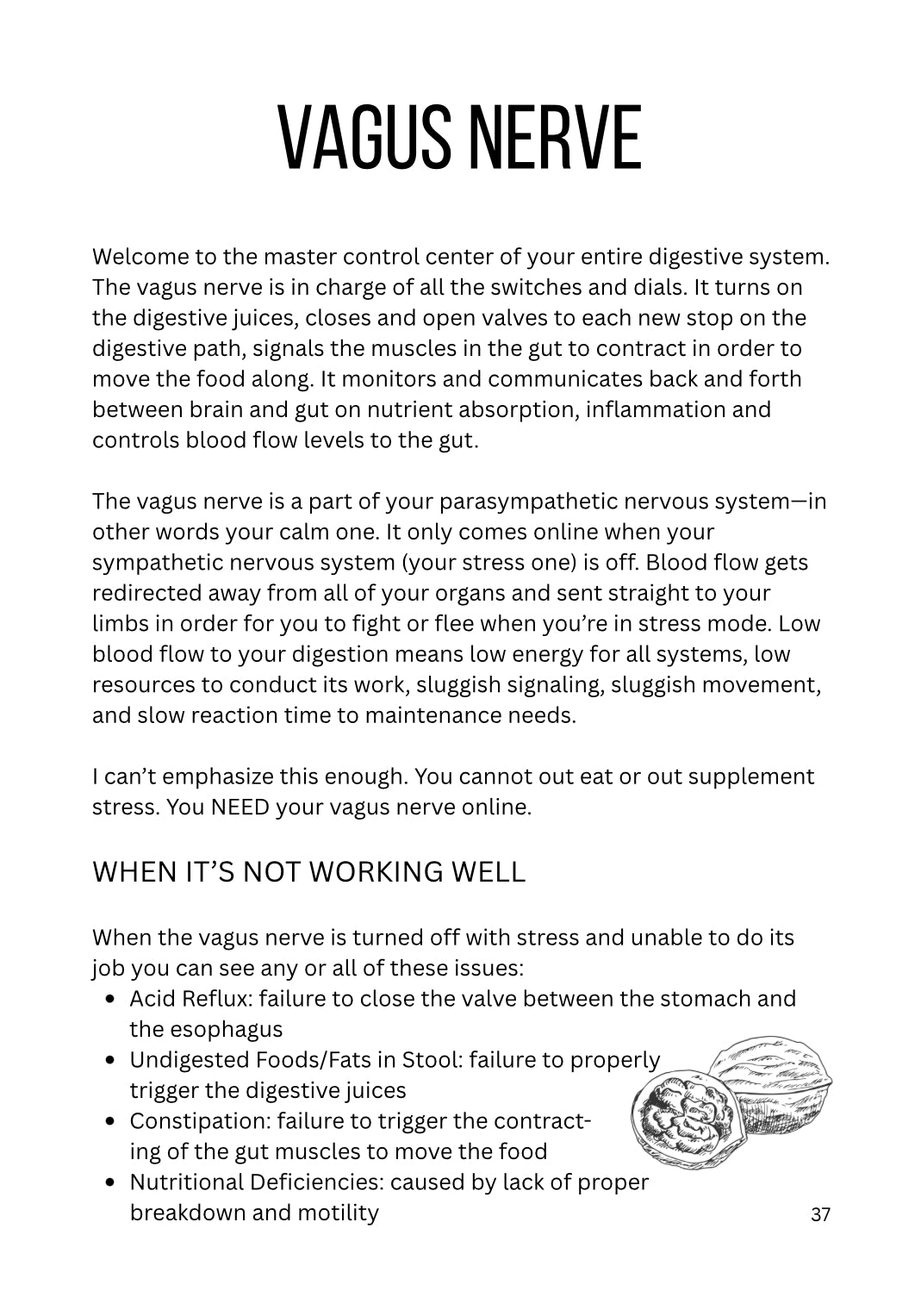.Gut Reset Manual