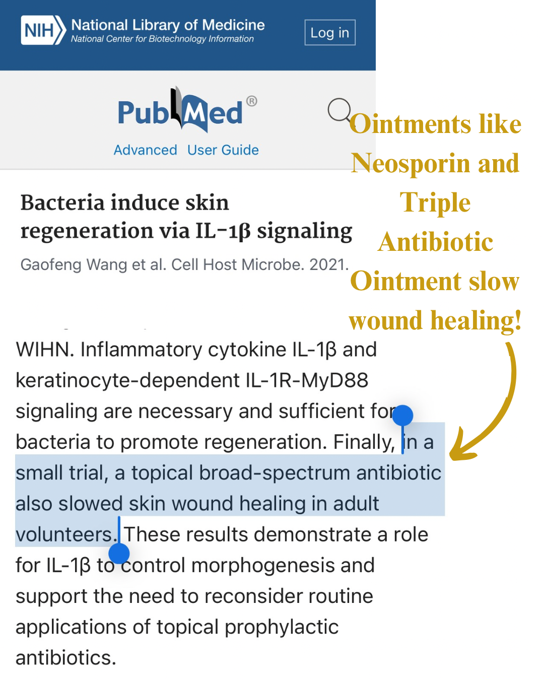 BEEosporin