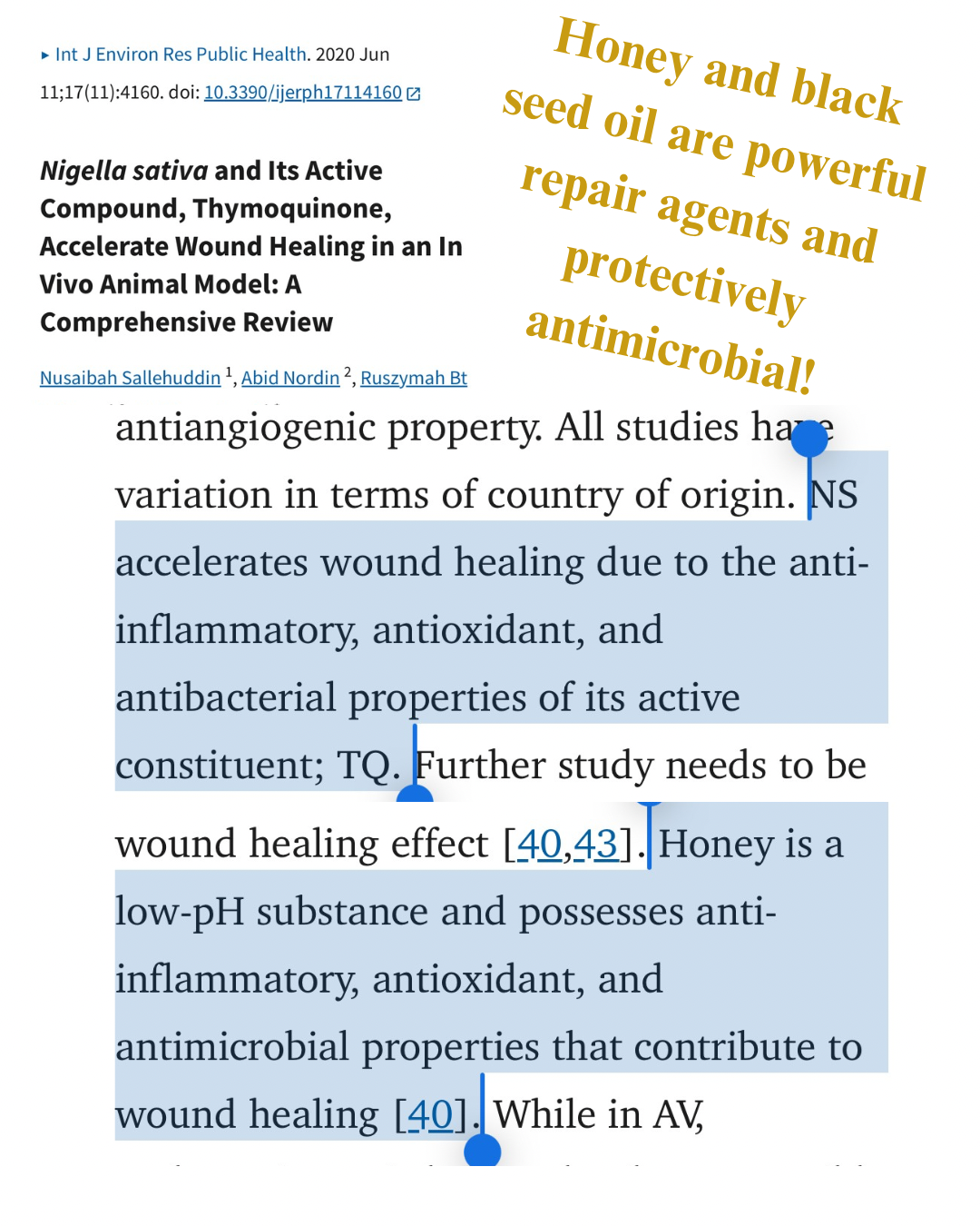 BEEosporin